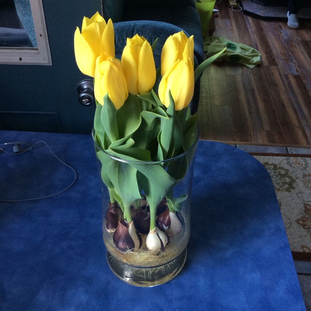 Meet your Posher, Char